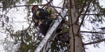 2018_01_07 - Tierrettung Katze Mau-Mau auf Baum - www.ffbs.at