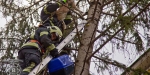 2018_01_07 - Tierrettung Katze Mau-Mau auf Baum - www.ffbs.at