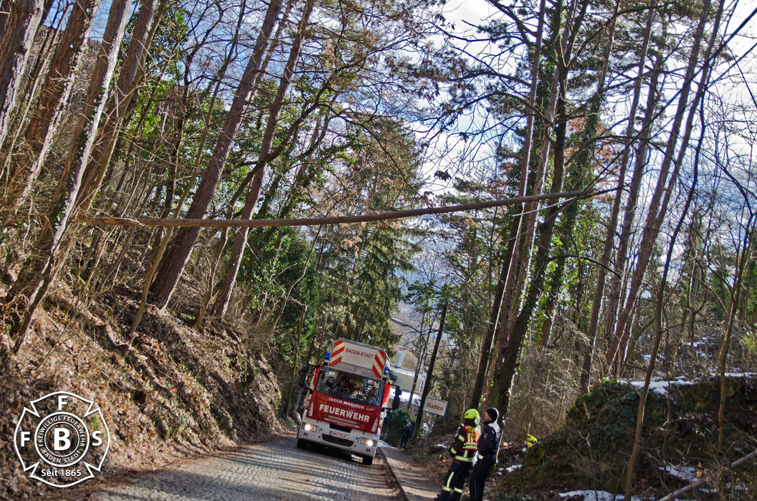 20190113 Strumschaden Zufahrt zum Rudolfshof Baden  Foto: Alexandra Stosch