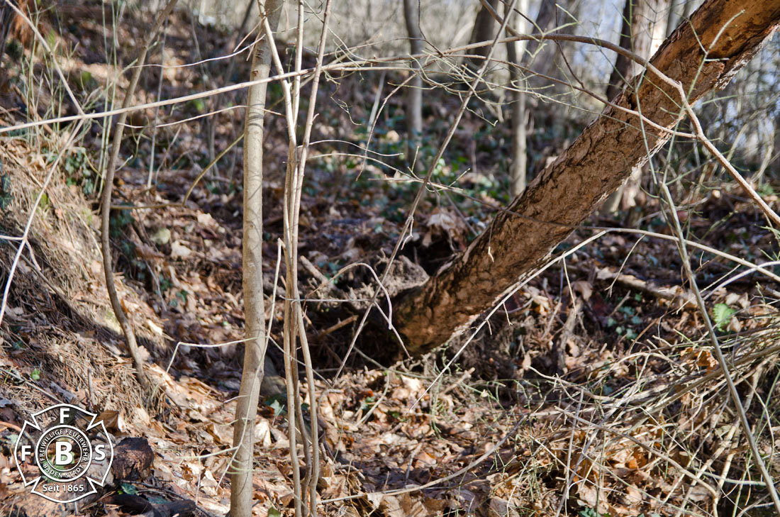 20190113 Strumschaden Zufahrt zum Rudolfshof Baden  Foto: Alexandra Stosch
