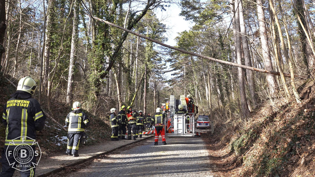 20190113 Strumschaden Zufahrt zum Rudolfshof Baden  Foto: Stefan Schneider