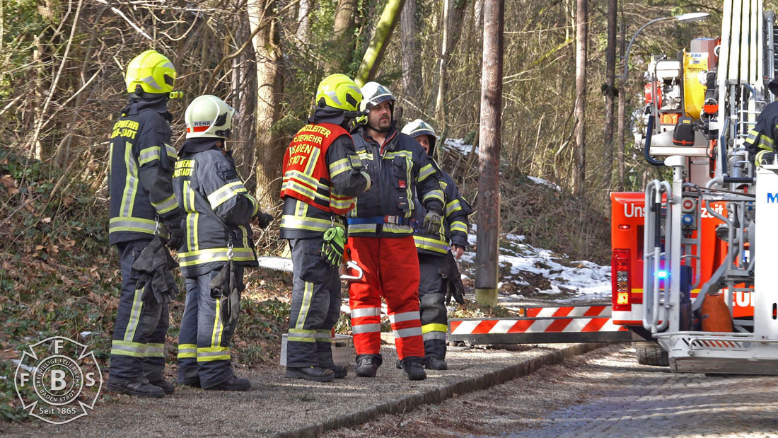 20190113 Strumschaden Zufahrt zum Rudolfshof Baden  Foto: Stefan Schneider
