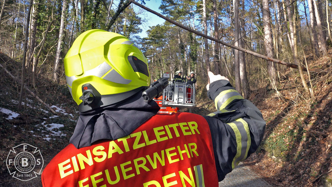 20190113 Strumschaden Zufahrt zum Rudolfshof Baden  Foto: Stefan Schneider