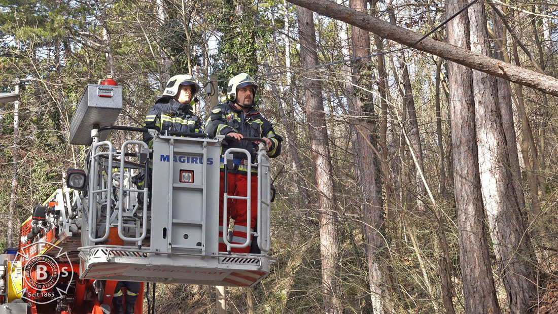 20190113 Strumschaden Zufahrt zum Rudolfshof Baden  Foto: Stefan Schneider