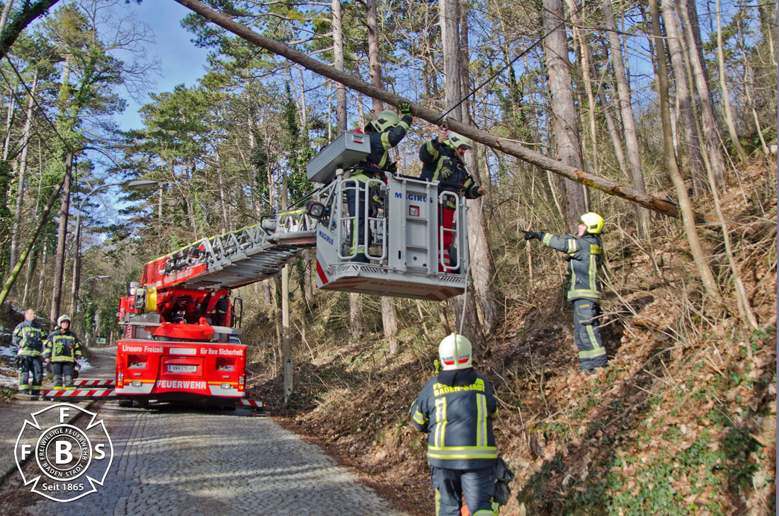20190113 Strumschaden Zufahrt zum Rudolfshof Baden  Foto: Alexandra Stosch