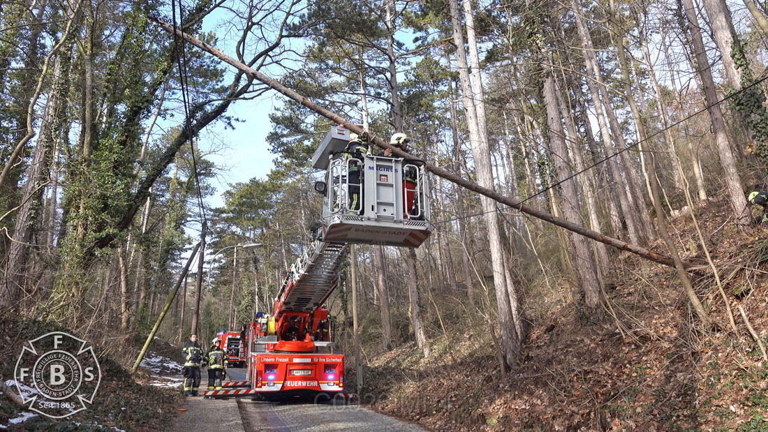 20190113 Strumschaden Zufahrt zum Rudolfshof Baden  Foto: Stefan Schneider