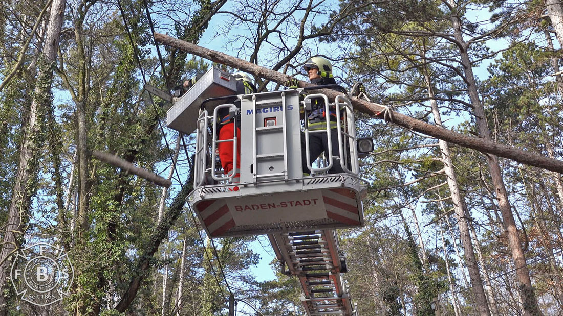 20190113 Strumschaden Zufahrt zum Rudolfshof Baden  Foto: Stefan Schneider