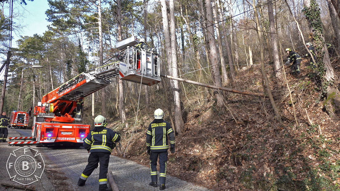 20190113 Strumschaden Zufahrt zum Rudolfshof Baden  Foto: Stefan Schneider