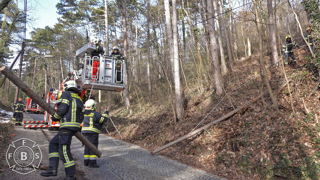 20190113 Strumschaden Zufahrt zum Rudolfshof Baden  Foto: Stefan Schneider