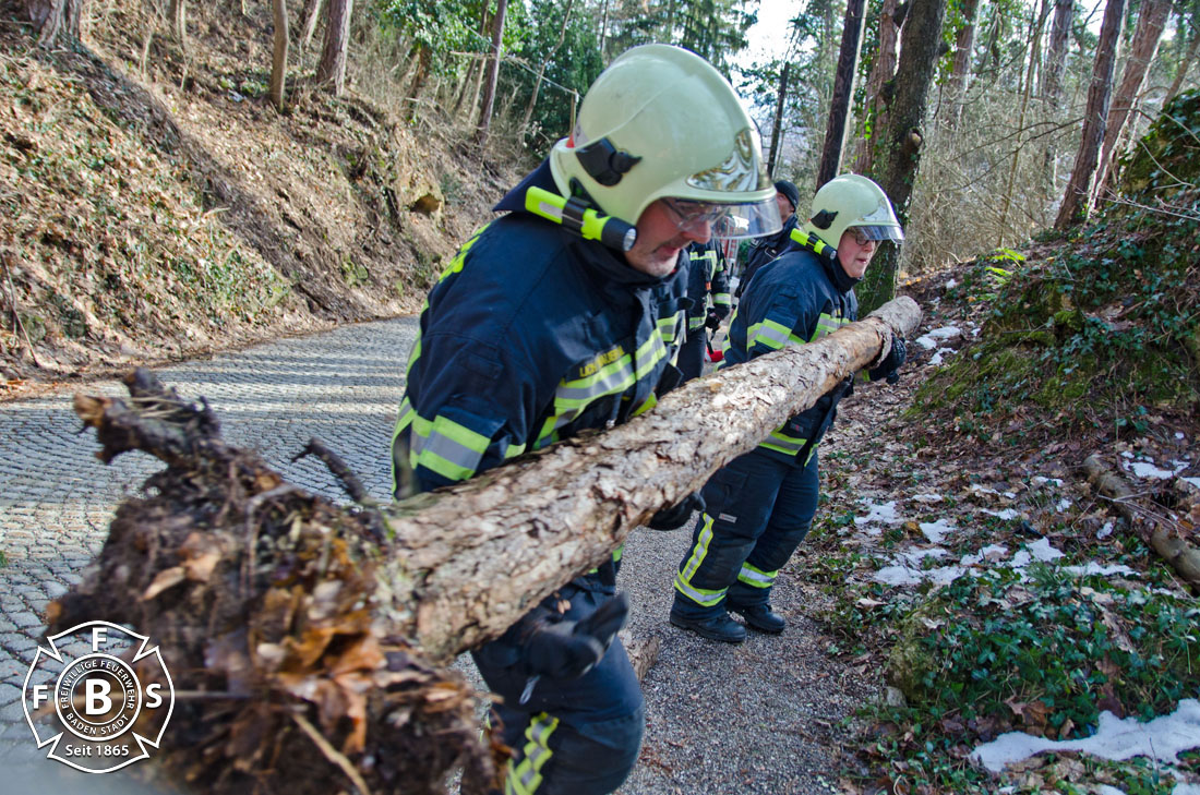 20190113 Strumschaden Zufahrt zum Rudolfshof Baden  Foto: Alexandra Stosch