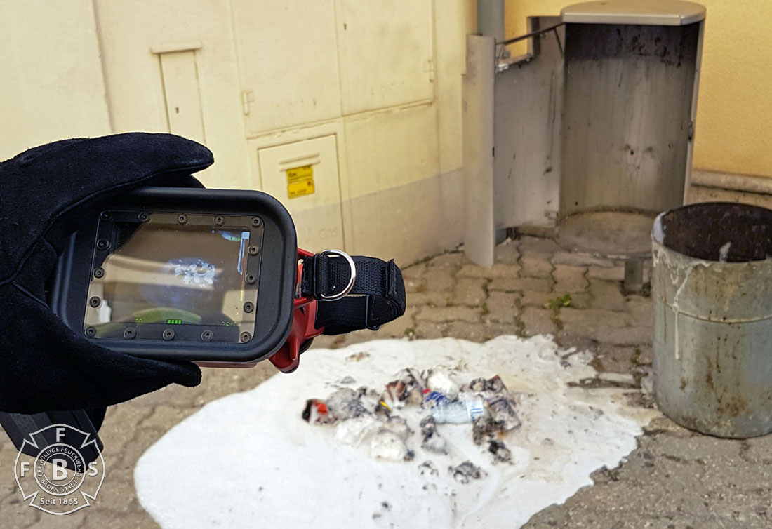 20190118 Müllbehälterbrand FUZO Baden  Foto: Fritz Beichbuchner