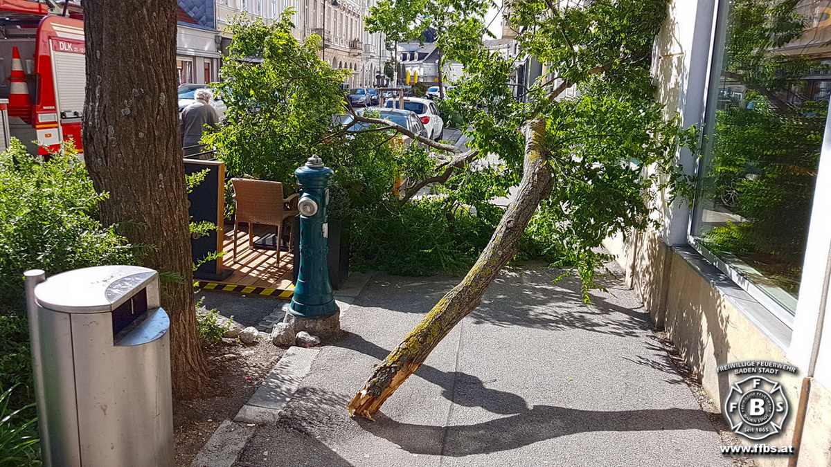 20190608 Sturmschaden in Baden