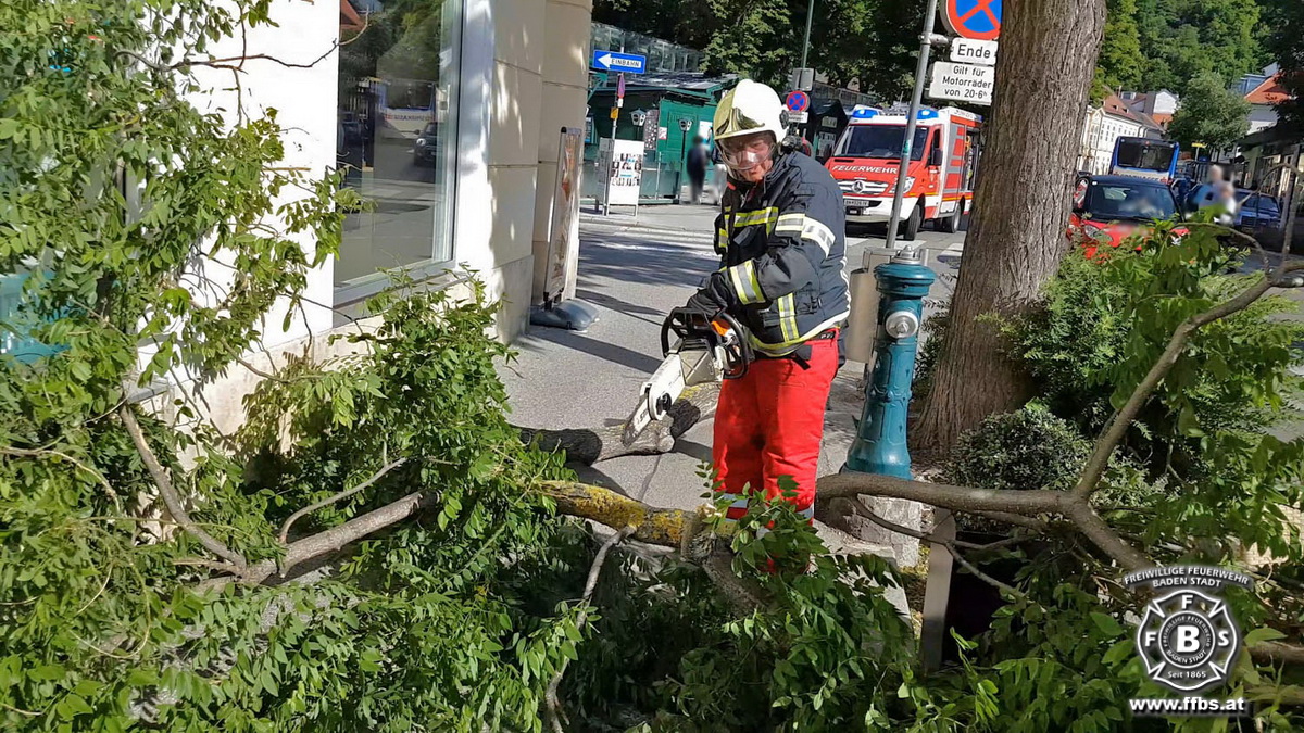 20190608 Sturmschaden in Baden