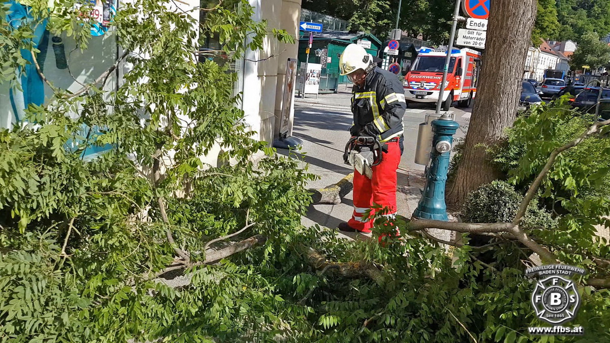 20190608 Sturmschaden in Baden