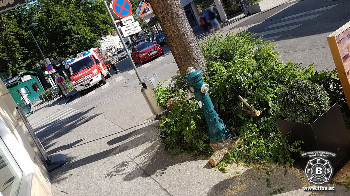 20190608 Sturmschaden in Baden