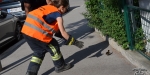2019_06_24_tierrettung_dsc_9811