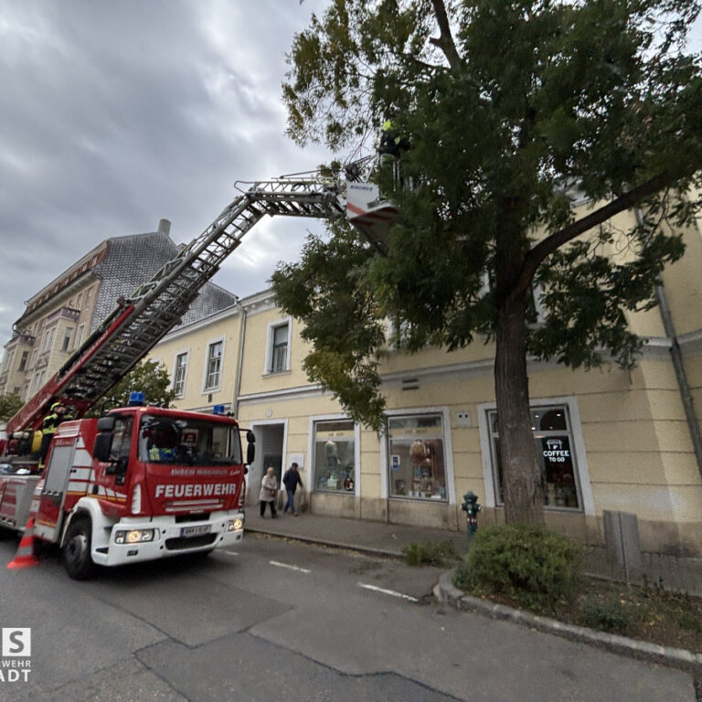 Drei Einsätze innerhalb kürzester Zeit